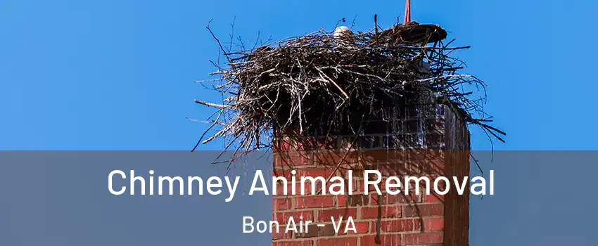 Chimney Animal Removal Bon Air - VA