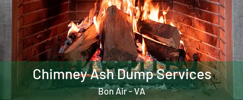 Chimney Ash Dump Services Bon Air - VA