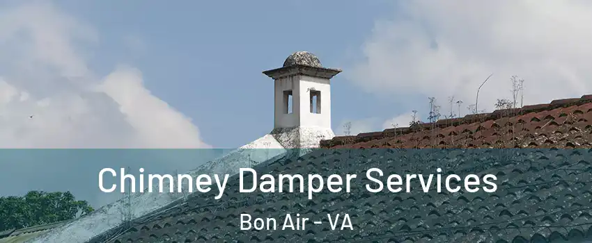 Chimney Damper Services Bon Air - VA