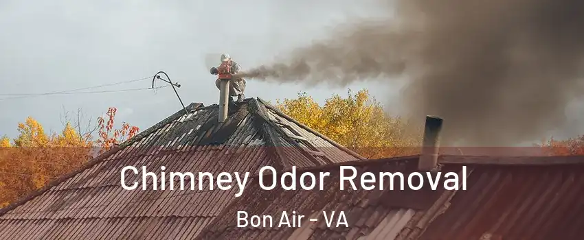Chimney Odor Removal Bon Air - VA