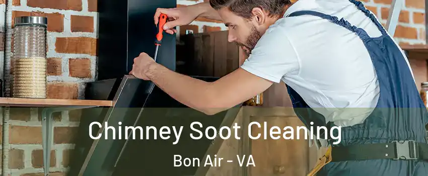 Chimney Soot Cleaning Bon Air - VA