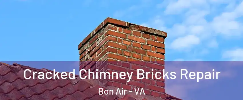 Cracked Chimney Bricks Repair Bon Air - VA