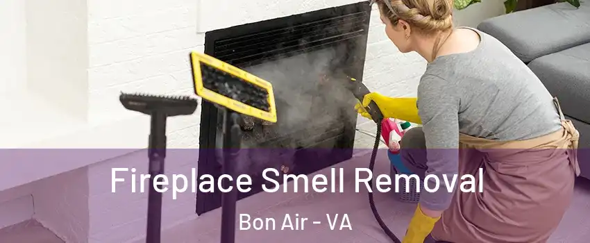 Fireplace Smell Removal Bon Air - VA