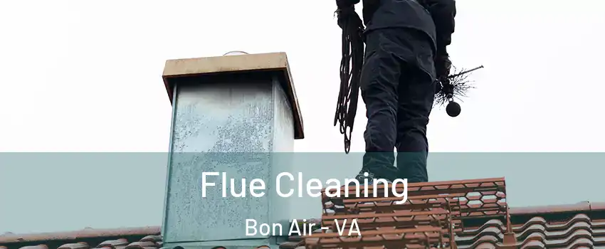 Flue Cleaning Bon Air - VA