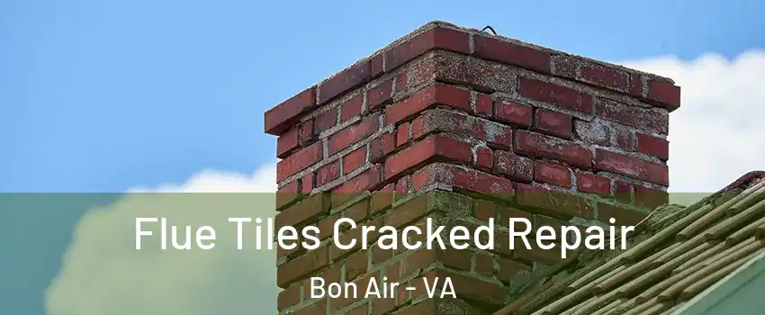 Flue Tiles Cracked Repair Bon Air - VA