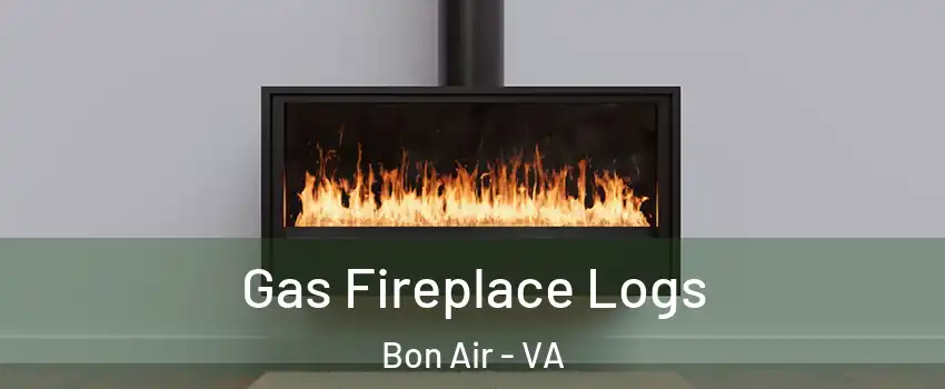 Gas Fireplace Logs Bon Air - VA