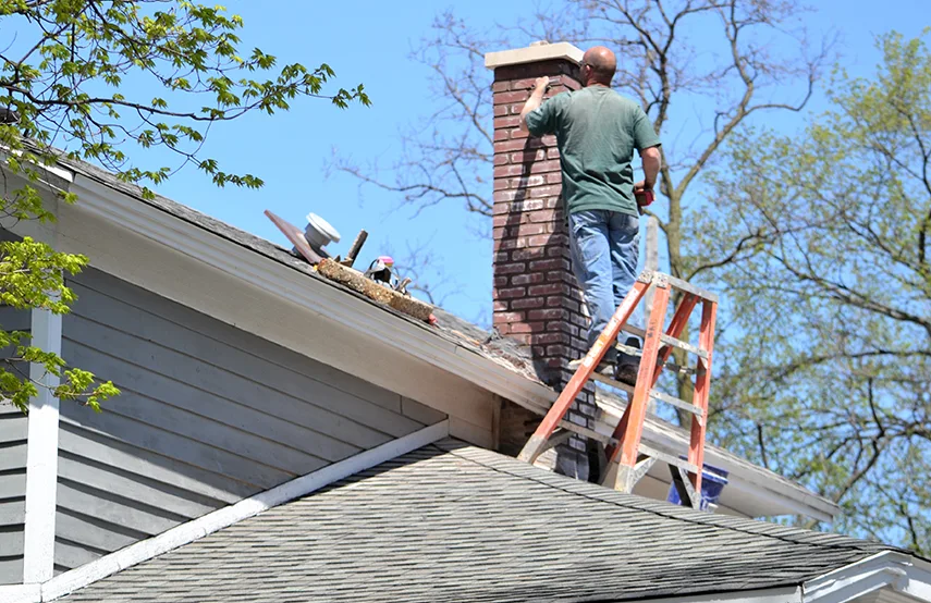 Chimney & Fireplace Inspections Services in Bon Air, VA
