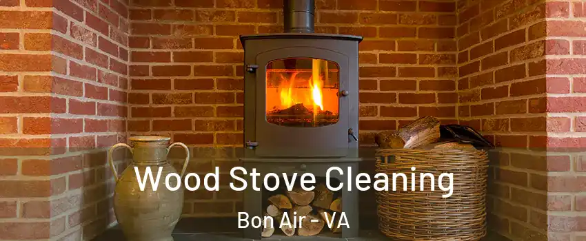 Wood Stove Cleaning Bon Air - VA